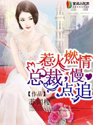 惹火燃情:总裁,慢点追