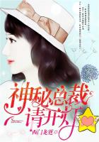 神秘总裁,请开灯!