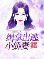 画爱为牢:缉拿出逃小娇妻