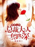 诱妻入怀:总裁大人套路深
