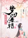 穿越小说梦回唐朝之丝路风云