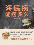 海底捞能捞多久