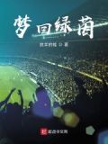 梦回绿茵