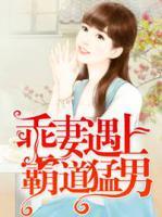 霸宠乖乖妻