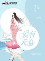 爱有天意小说