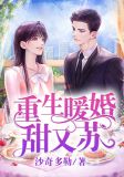 重生暖婚甜又苏