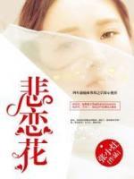 腹黑总裁天才宝宝迷糊妈