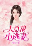 大总裁,小逃妻!免费阅读
