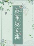 苏东坡文集