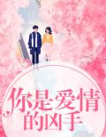 你是爱情的凶手 小说