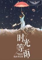 时光等雨小说免费阅读