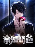 豪婿奶爸苏扬林柔