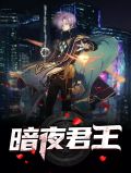 暗夜君王林初雪