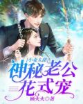 小妻太甜:神秘老公花式宠