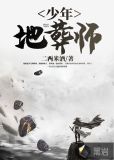 电视剧少年国际师