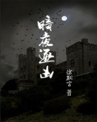 暗夜逐凶