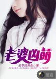 老婆凶萌小说