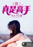 我真是高手小说
