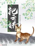 把云娇书评