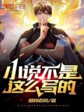 小说,不是这么写的!