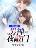 一纸宠婚:男神夜敲门