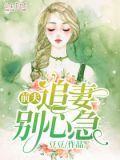 前夫,追妻别心急小说
