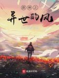 原神之异世的风小说
