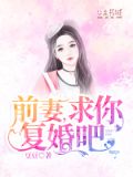 前妻,求你复婚吧林沅姿免费阅读