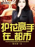 护花高手在都市