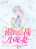 傲娇总裁小宠妻免费阅读