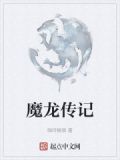 魔龙传记