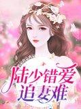 陆少错爱追妻难