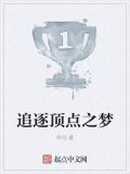 追逐顶点之梦