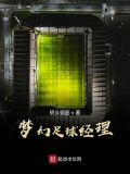 梦幻足球经理