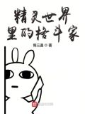 精灵世界里的格斗家