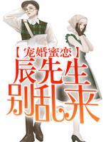 宠婚蜜恋:辰先生,别乱来