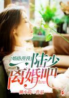 婚路漫漫:陆少离婚吧!