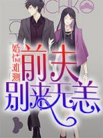 婚情难测:前夫,别来无恙