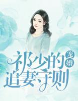 宠婚:祁少的追妻守则