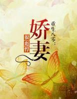 重生八零甜宠娇妻有点辣 小说