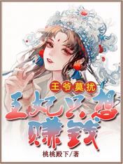王爷莫扰,王妃只想赚钱