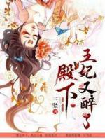殿下,王妃又醉了