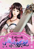 宫墙似锦:只宠小小妖妃