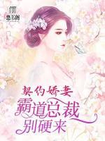 契约娇妻:霸道总裁别硬来