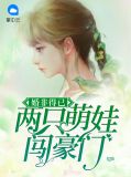 婚非得已:两只萌娃闯豪门贺钧天