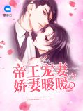 帝王宠妻:娇妻暖暖封凌夜