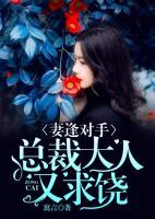 妻逢对手总裁大人不约txt