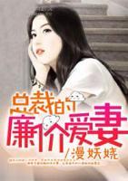 廉价女总裁小说
