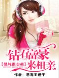 一胎二宝:天价娇妻惹上门