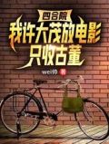 四合院:我许大茂放电影只收古董全部目录